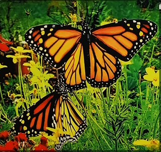 Nature’s Wonders Symposium to benefit the Thomasville Garden Center